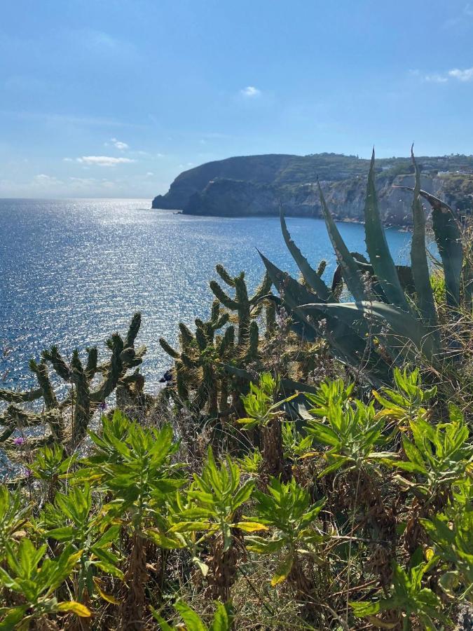 B&B Lodge Dell'Ospite Ischia Casamicciola Terme Buitenkant foto