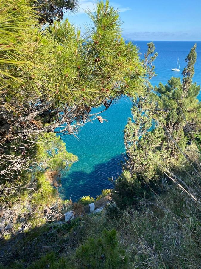 B&B Lodge Dell'Ospite Ischia Casamicciola Terme Buitenkant foto